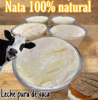 Vendo receta de producto lácteo (Nata)